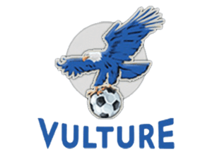 فولتشر vulture